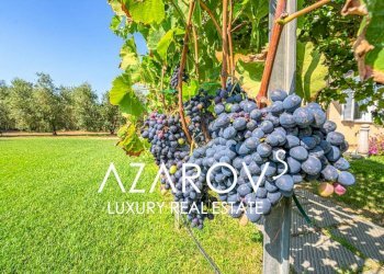 Giardino - Villa strada Vallelunga, 10, Montalto di Castro - foto 3