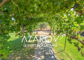 Giardino - Villa strada Vallelunga, 10, Montalto di Castro - foto 5