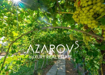 Giardino - Villa strada Vallelunga, 10, Montalto di Castro - foto 9