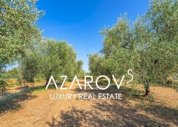 Terreno - Villa strada Vallelunga, 10, Montalto di Castro - foto 31