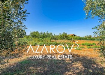 Terreno - Villa strada Vallelunga, 10, Montalto di Castro - foto 34