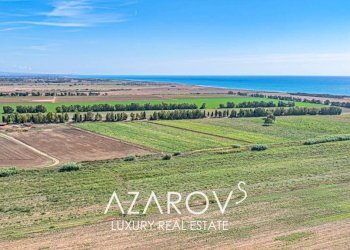 Terreno - Villa strada Provinciale Litoranea, Tarquinia - foto 23