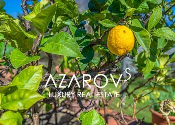 Giardino - Villa viale Guglielmo Marconi, Lucca (zona Centro Storico) - foto 7