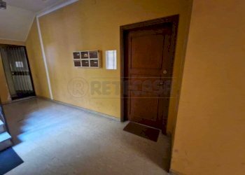 WhatsApp Image 2026-03-31 at 11.20.56.jpeg - Magazzino Via Gaspare Aselli, Cremona - foto 7