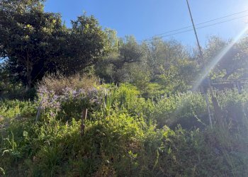 b90f3db0-6c41-469b-94b4-c84bf265d240.jpg - Semi-detached house Vicolo San Lorenzo 2, Luni - photo 6