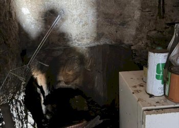 2b6eccb7-c1b2-41ca-9c65-9a5992d3d918.jpg - Semi-detached house Vicolo San Lorenzo 2, Luni - photo 20