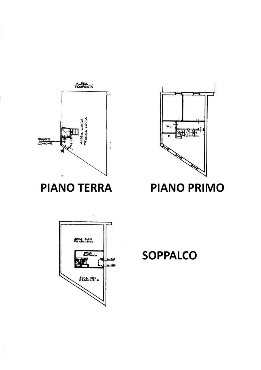 PIANTINA.jpg - Bilocale Pesaro - planimetria 1