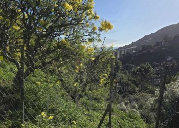 3.jpeg - Villa frazione carletti snc, Ventimiglia - foto 22