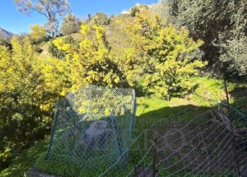 4.jpeg - Villa frazione carletti snc, Ventimiglia - foto 23