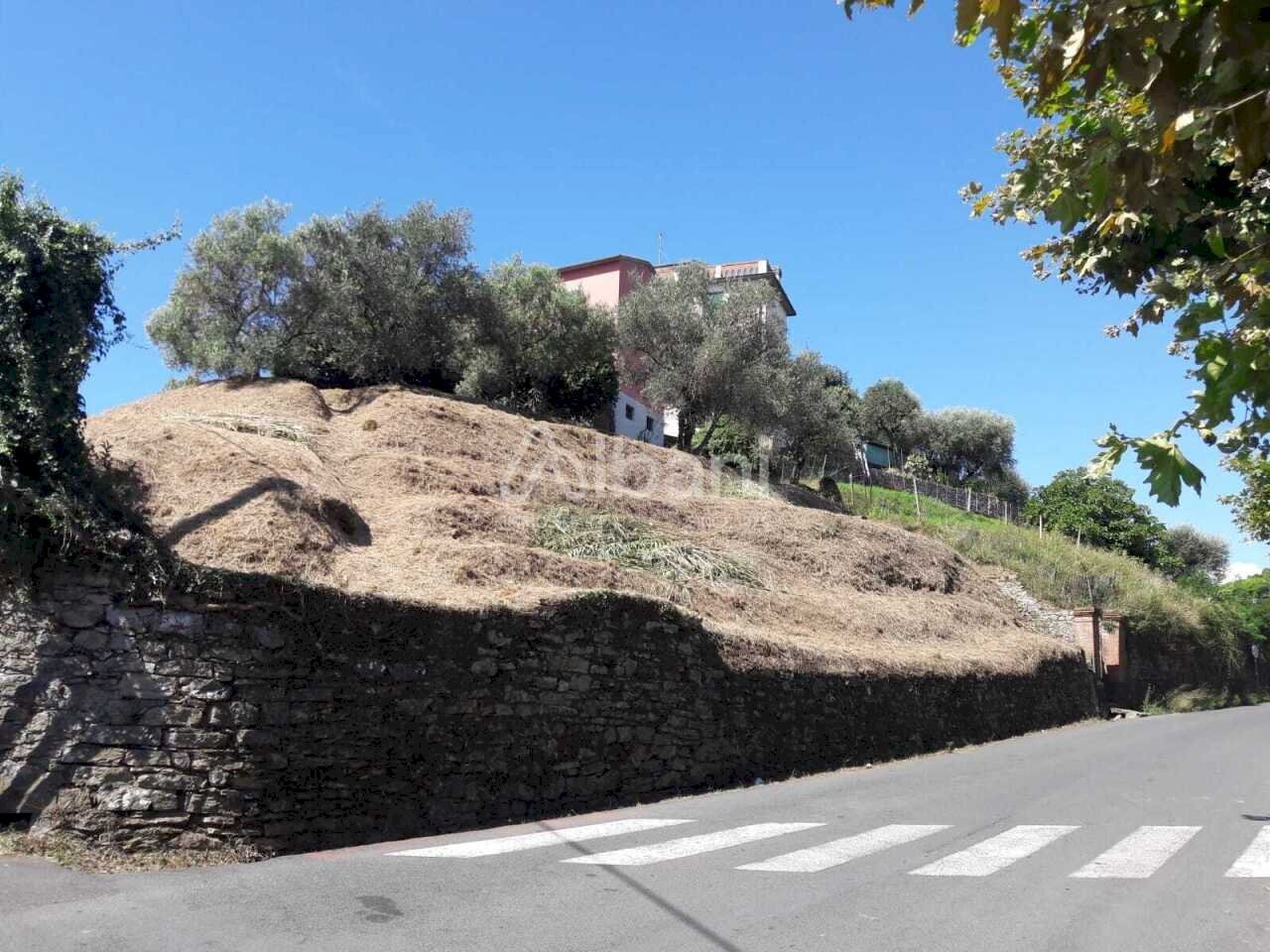 TE184_terreno_vendita_arcola_vigneto (1).jpg - Terreno agricolo Arcola - foto 1