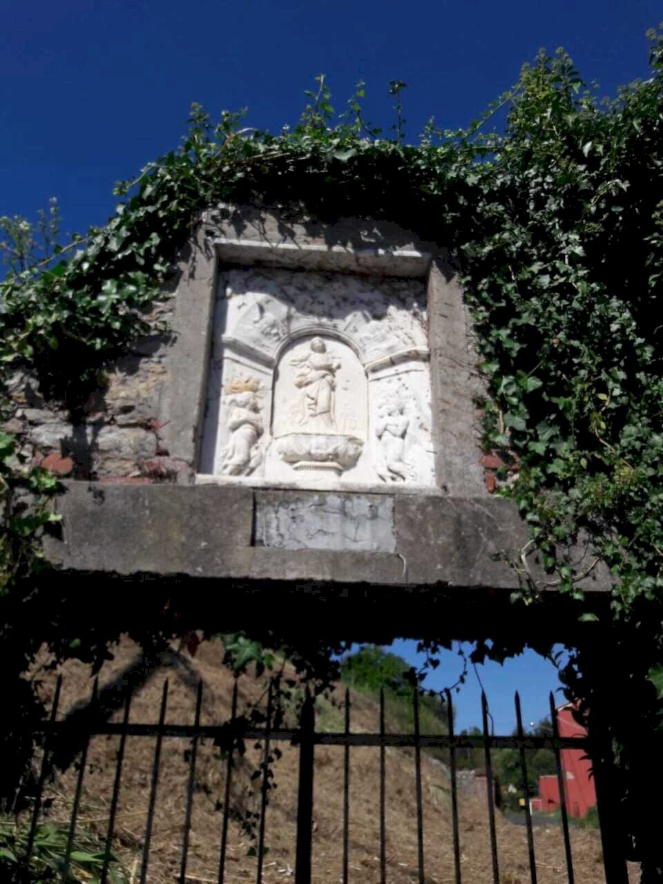 TE184_terreno_vendita_arcola_vigneto (2).jpg - Terreno agricolo Arcola - foto 2