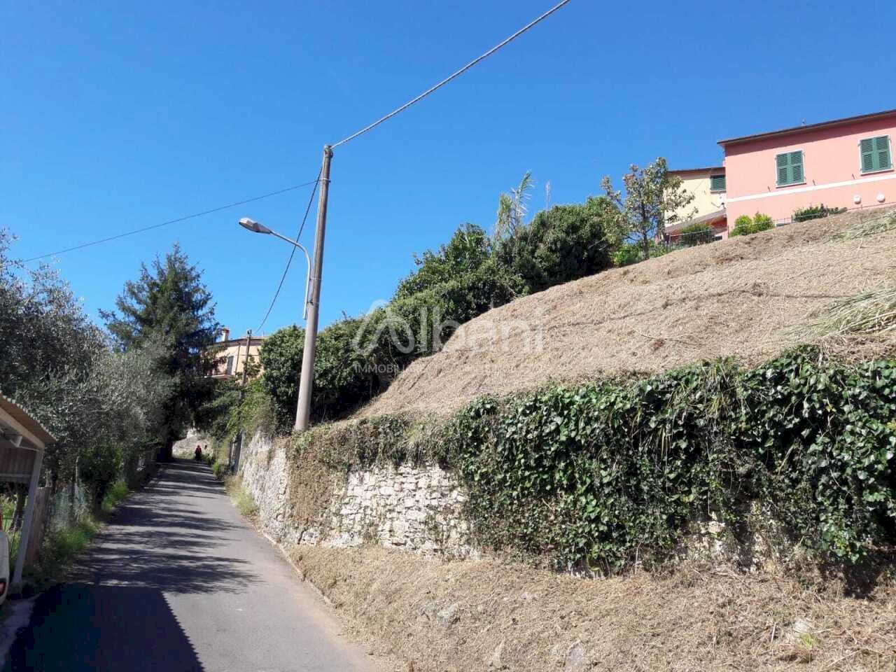 TE184_terreno_vendita_arcola_vigneto (3).jpg - Terreno agricolo Arcola - foto 3