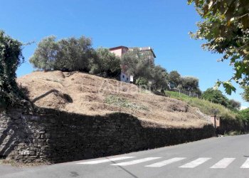 TE184_terreno_vendita_arcola_vigneto (1).jpg - Terreno agricolo Arcola - foto 1