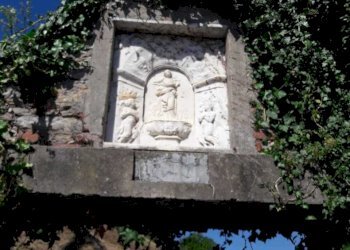 TE184_terreno_vendita_arcola_vigneto (2).jpg - Terreno agricolo Arcola - foto 2