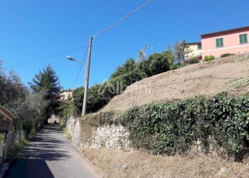 TE184_terreno_vendita_arcola_vigneto (3).jpg - Terreno agricolo Arcola - foto 3