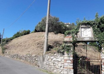 TE184_terreno_vendita_arcola_vigneto (6).jpg - Terreno agricolo Arcola - foto 6