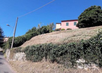 TE184_terreno_vendita_arcola_vigneto (7).jpg - Terreno agricolo Arcola - foto 7