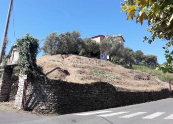 TE184_terreno_vendita_arcola_vigneto (8).jpg - Terreno agricolo Arcola - foto 8