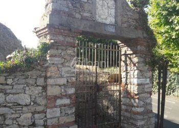 TE184_terreno_arcola_collina_vendita_vigneto (25). - Terreno agricolo Arcola - foto 10