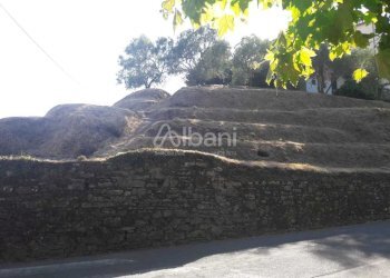 TE184_terreno_arcola_collina_vendita_vigneto (2).j - Terreno agricolo Arcola - foto 11