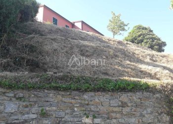 TE184_terreno_arcola_collina_vendita_vigneto (7).j - Terreno agricolo Arcola - foto 12