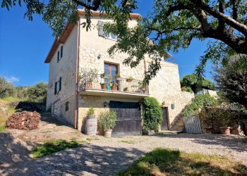 20250430_165223.jpg - Casale SP34, Montecchio - photo 1