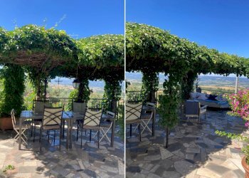 pergola.jpg - Casale SP34, Montecchio - photo 6