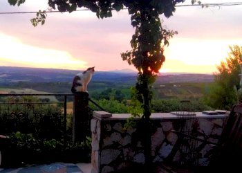 27.jpg - Casale SP34, Montecchio - photo 8