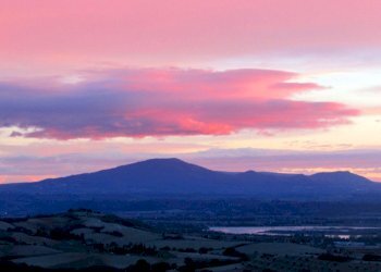 34.jpg - Casale SP34, Montecchio - photo 9