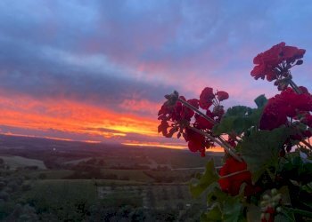 IMG-20230806-WA0011.jpg - Casale SP34, Montecchio - photo 13