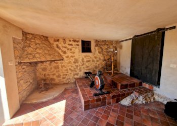 20250430_163738.jpg - Casale SP34, Montecchio - photo 14