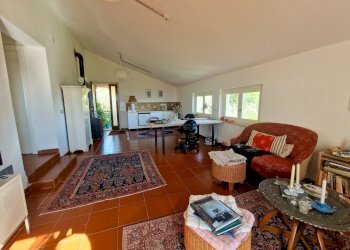 20250430_164033.jpg - Casale SP34, Montecchio - photo 22