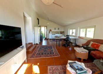 20250430_164037.jpg - Casale SP34, Montecchio - photo 23