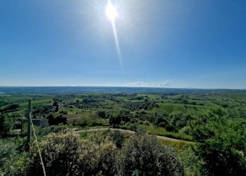 20250430_164053.jpg - Casale SP34, Montecchio - photo 25