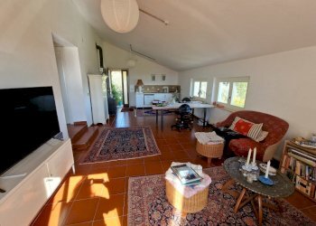 20250430_164102.jpg - Casale SP34, Montecchio - photo 26