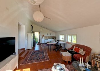 20250430_164104.jpg - Casale SP34, Montecchio - photo 27