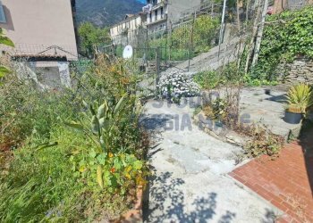 WhatsApp Image 2026-04-08 at 16.55.00.jpeg - Porzione di casa Salita nostra Signora della Neve, Badalucco - foto 13