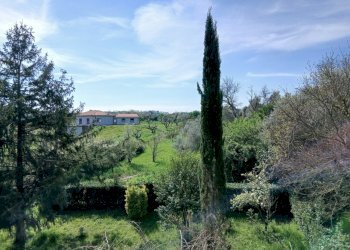 20260321_102238.jpg - Casa indipendente Strada Valle di Baccano 3, Campagnano di Roma - foto 21