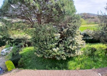 20260321_102805.jpg - Casa indipendente Strada Valle di Baccano 3, Campagnano di Roma - foto 27