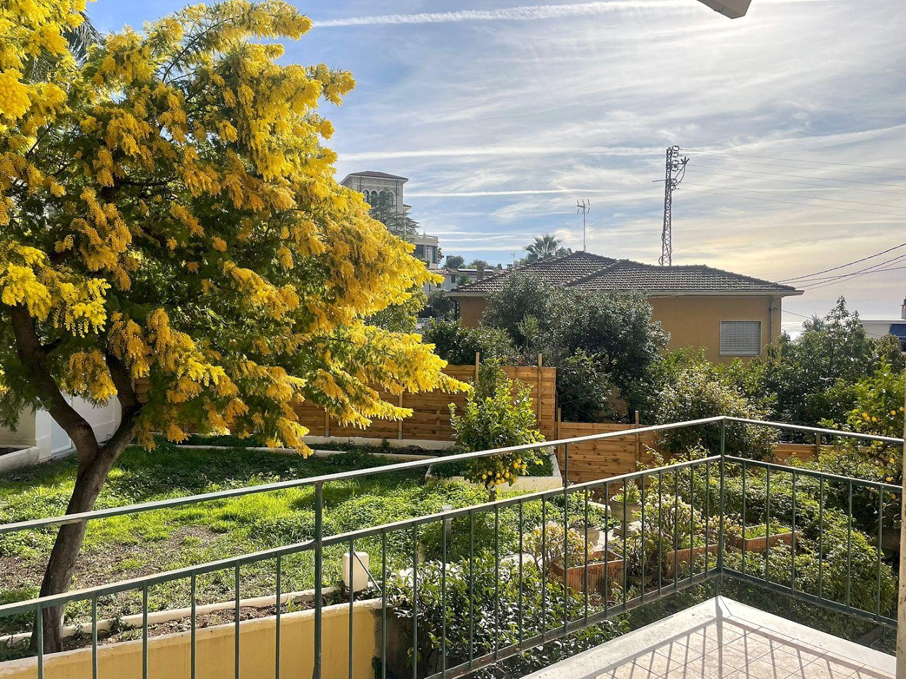 Mimosa 3.JPG - Trilocale Sanremo - foto 1
