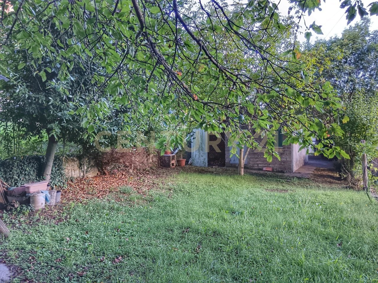 1000026703.jpg - Casale Via del Parco 27, Santa Fiora - photo 1