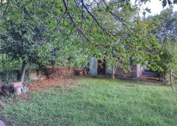 1000026703.jpg - Casale Via del Parco 27, Santa Fiora - foto 1