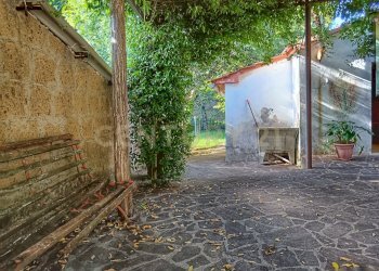 1000026711.jpg - Casale Via del Parco 27, Santa Fiora - foto 18