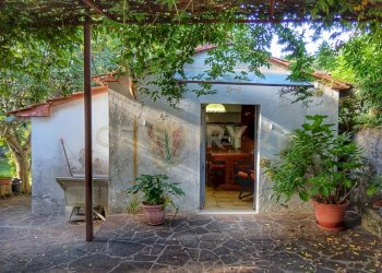 1000026702.jpg - Casale Via del Parco 27, Santa Fiora - foto 21