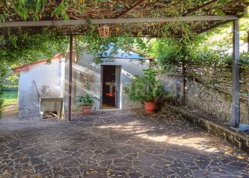 1000026699.jpg - Casale Via del Parco 27, Santa Fiora - foto 24