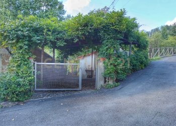 1000026700.jpg - Casale Via del Parco 27, Santa Fiora - foto 25