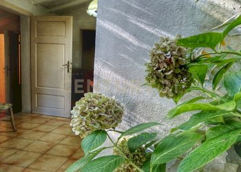 1000026708.jpg - Casale Via del Parco 27, Santa Fiora - foto 26