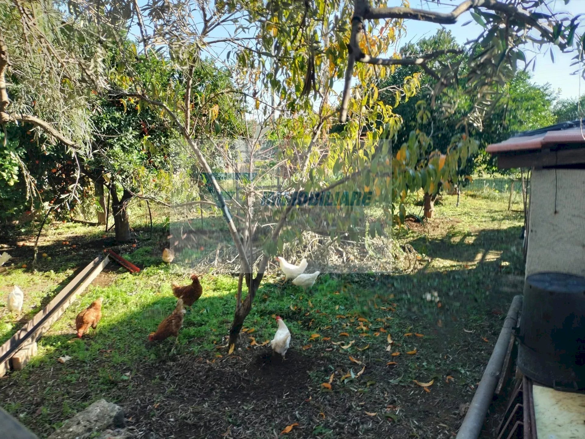 Villa Via Monti Climiti, Priolo Gargallo - photo 2