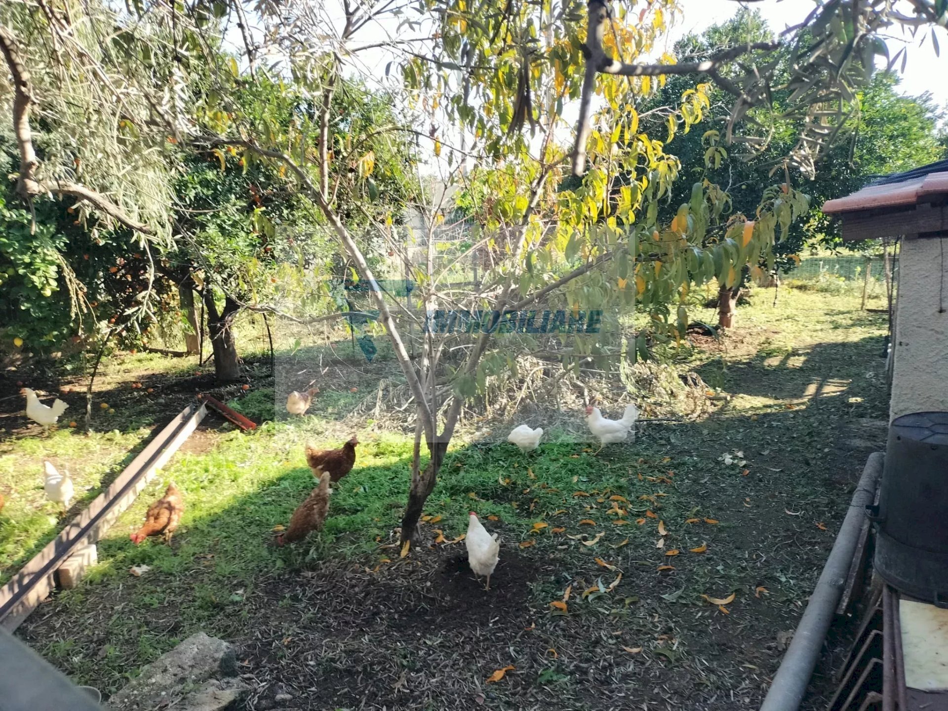 Villa Via Monti Climiti, Priolo Gargallo - photo 3