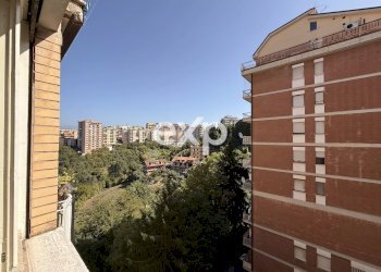 Trilocale Viale America Latina, Frosinone - foto 15
